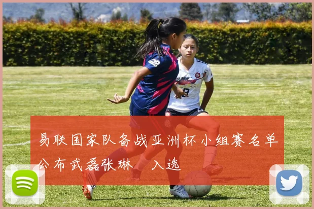 易联国家队备战亚洲杯小组赛名单公布武磊张琳芃入选